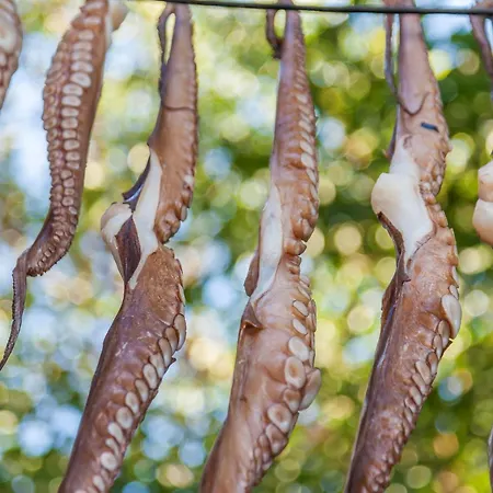 别墅 Luxury Paros 1 Bedroom Divine Sea Wonderful Sea Views & Great *