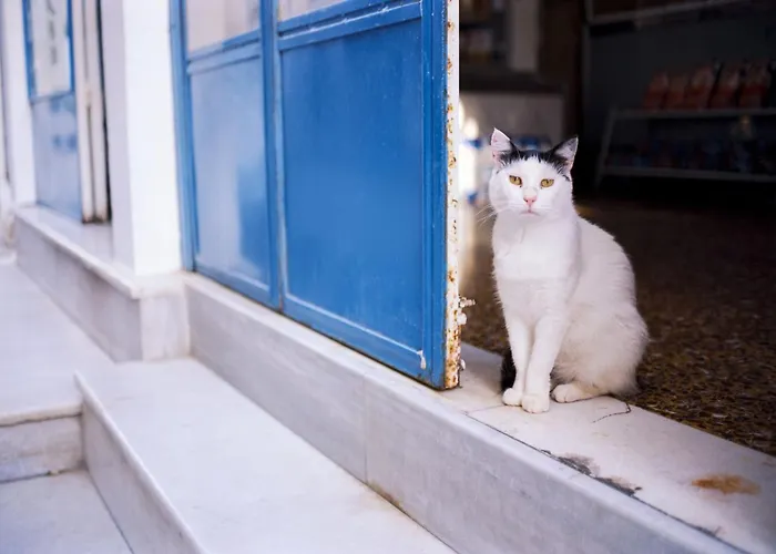 Luxury Paros 1 Bedroom Divine Sea Wonderful Sea Views & Great *